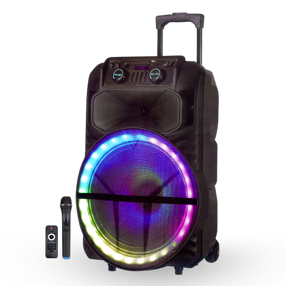 Speaker Karaoke Sound System, 15 inch, YB1360 /black/