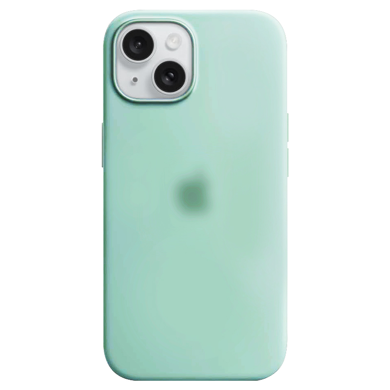 Luxury Apple iPhone 11 /mint/