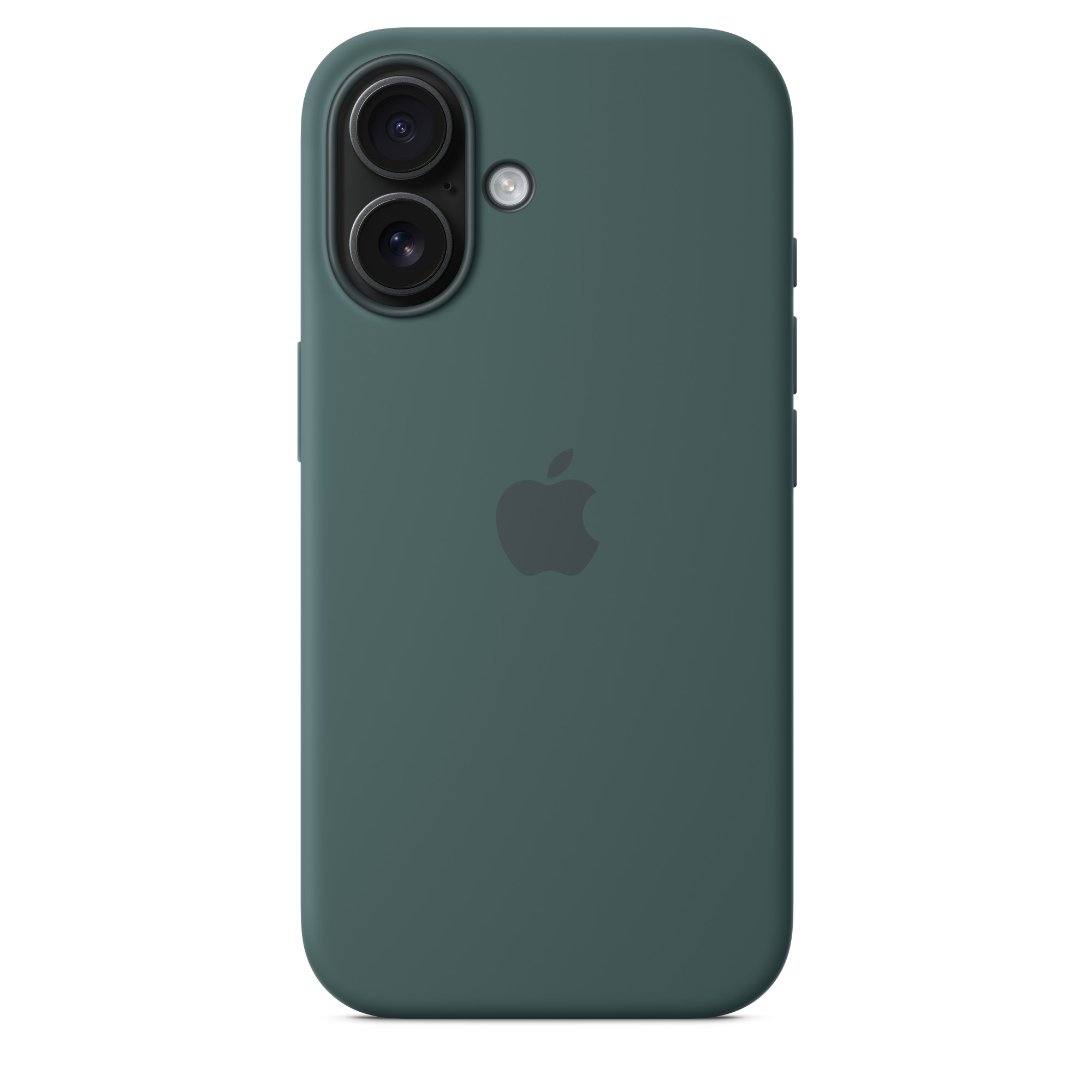 Case for Apple iPhone 16 MagSafe with button /lake green/
